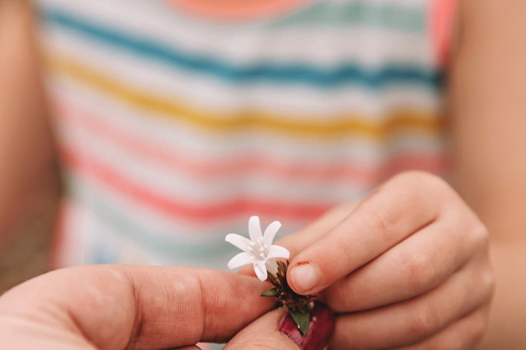 Formas básicas de quilling: guía completa de enrollado, pétalo, lágrima y ojo